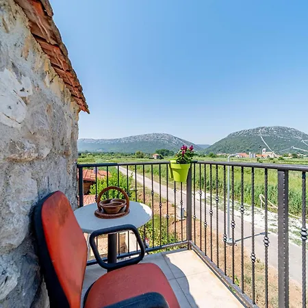 Olive Grove House וילה