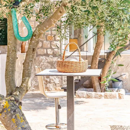 Olive Grove House