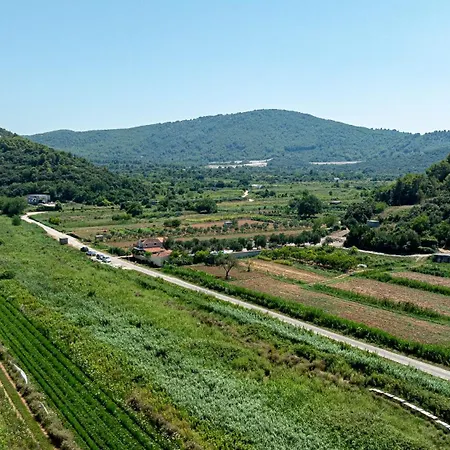 Olive Grove House