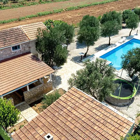 Olive Grove House