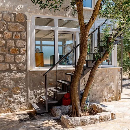 Olive Grove House Villa *
