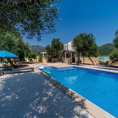 Olive Grove House