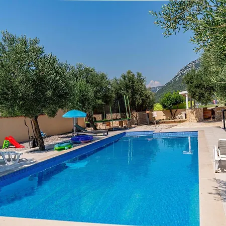 Olive Grove House *