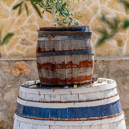 Olive Grove House * Ston