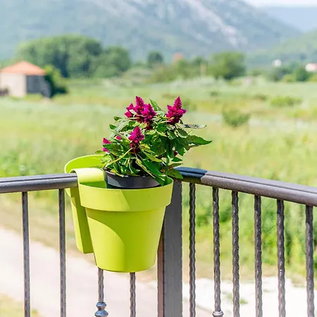 Vila Olive Grove House *