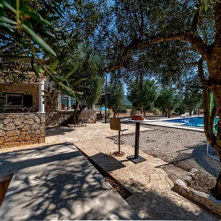 Olive Grove House