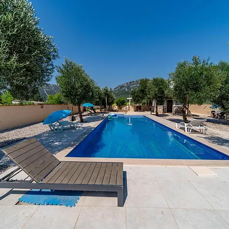 Olive Grove House *