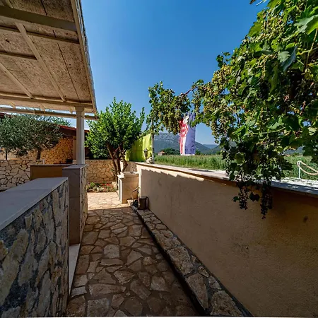 Olive Grove House Villa