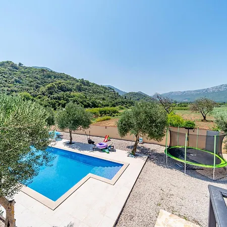 Olive Grove House
