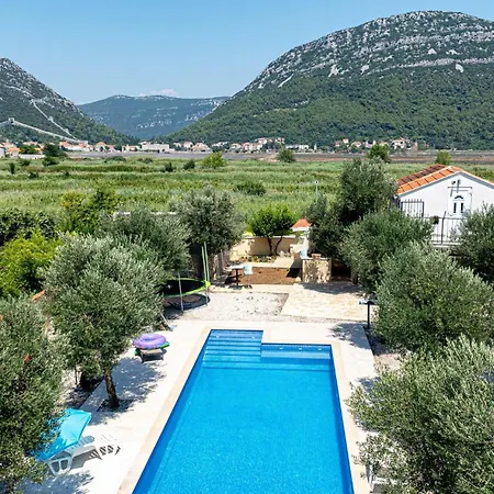 Villa Olive Grove House *