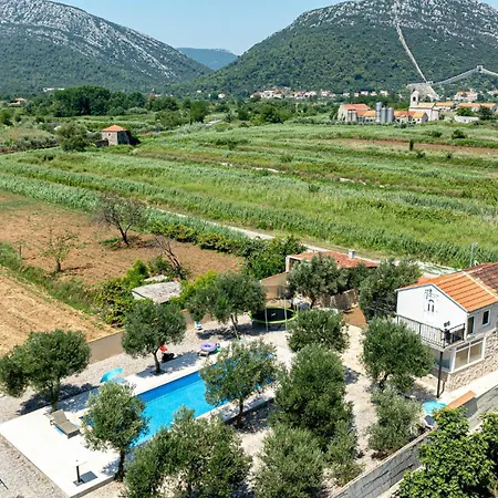 Villa Olive Grove House Ston
