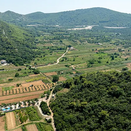 Olive Grove House Vila