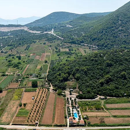 Olive Grove House Villa *