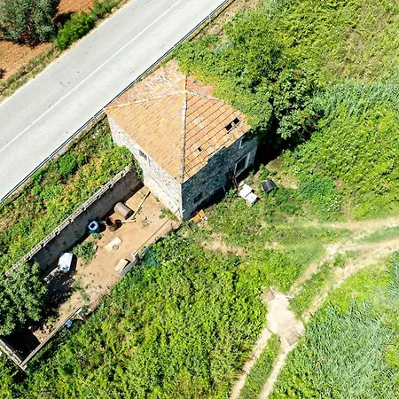 Villa Olive Grove House