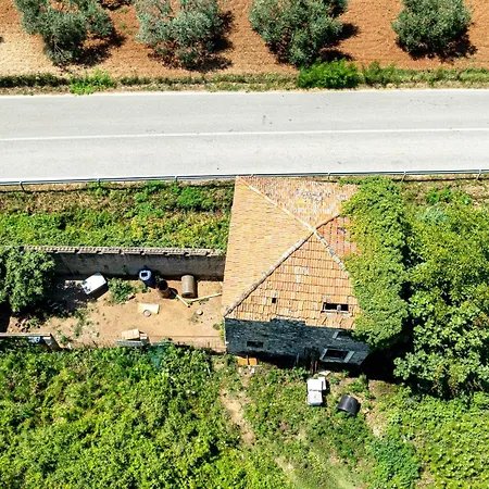 Olive Grove House Vila *