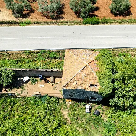 Olive Grove House Villa *